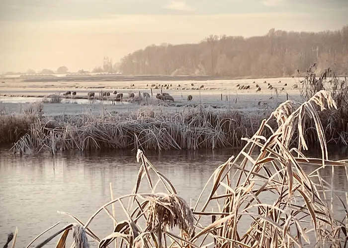 ベッド・アンド・ブレックファスト Heerlijk! De Kwakel